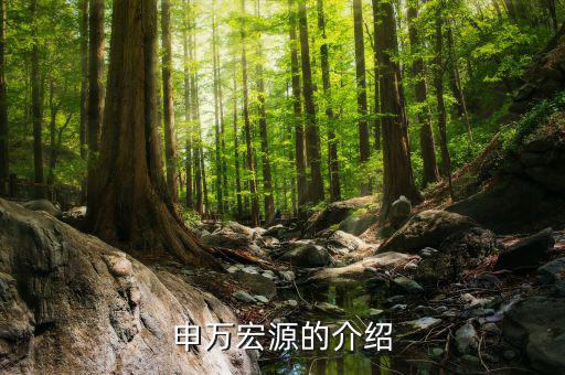 申萬宏源總經(jīng)理什么級，申萬宏源區(qū)分公司總經(jīng)理有行政級別嗎
