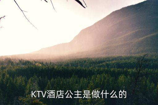 酒店出臺是干什么的，KTV酒店公主是做什么的