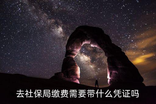 去社保局申報年度繳費工資需要帶什么證件，去社保局繳費需要帶什么憑證嗎