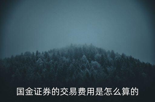 國金融資開倉費用是什么，國金證券的交易費用是怎么算的