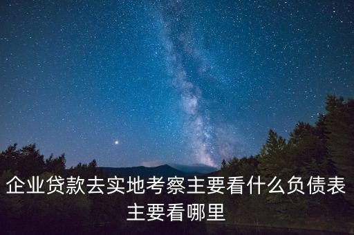 貸款實(shí)地考察做些什么，企業(yè)貸款去實(shí)地考察主要看什么負(fù)債表主要看哪里
