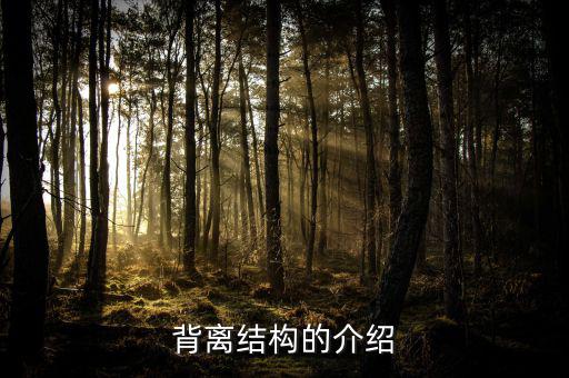什么是帶結構的背離，背離結構的介紹