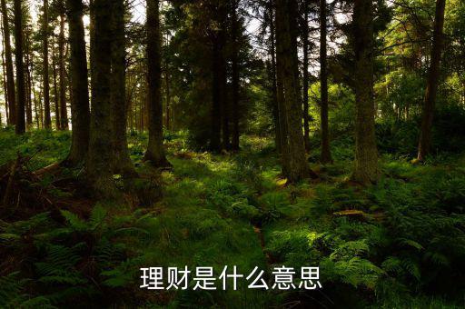 理財(cái)市場(chǎng)是什么，理財(cái)是什么意思