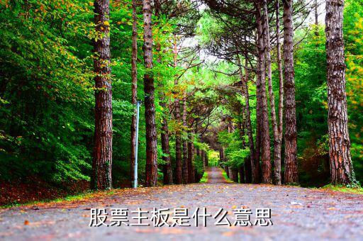 股市主板是什么，股市主板具體指什么