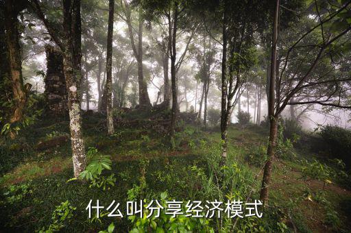 什么是分享經(jīng)濟，通俗講什么是分享經(jīng)濟