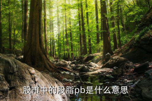 股票中pb是什么意思，股市中的股脂pb是什么意思