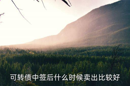 可轉(zhuǎn)債一般什么時(shí)候賣出，中國銀行可轉(zhuǎn)債什么時(shí)候能賣出