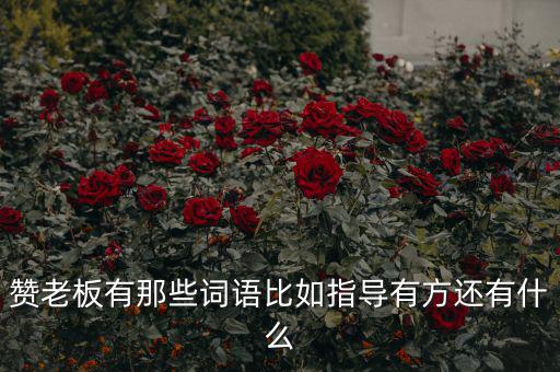 什么成語能夠形容房地產(chǎn)老板，贊老板有那些詞語比如指導(dǎo)有方還有什么