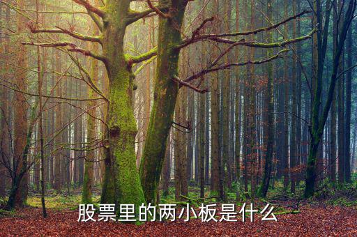 股票兩小板指什么，股票里的兩小板是什么