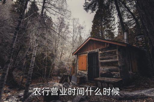 農行什么時候上班，農行上班時間