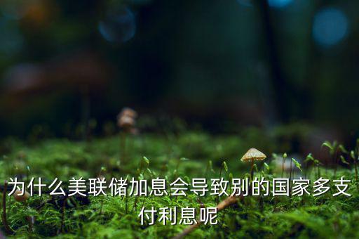 為什么美國加息，美國加息是什么意思