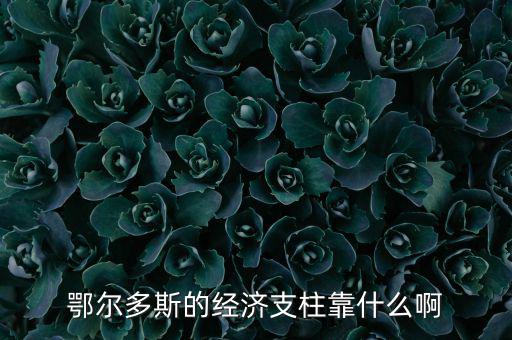 為什么鄂爾多斯經(jīng)濟發(fā)展，鄂爾多斯市是什么原因讓其發(fā)展如此迅猛