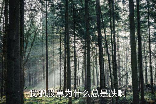 捷城股份為什么一直跌，有被捷成投資騙的人嗎咱們一起去告他