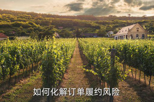 什么訂單執(zhí)行風(fēng)險(xiǎn)，淘寶訂單險(xiǎn)的問題