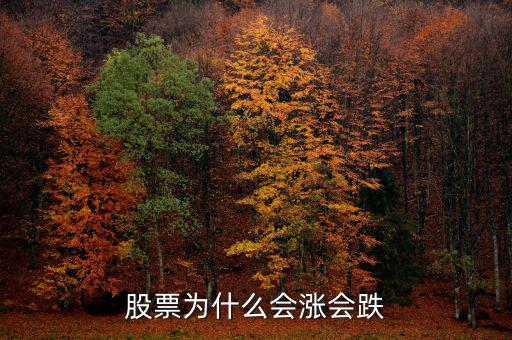股票為什么會上漲下跌，股票為什么會漲會跌啊