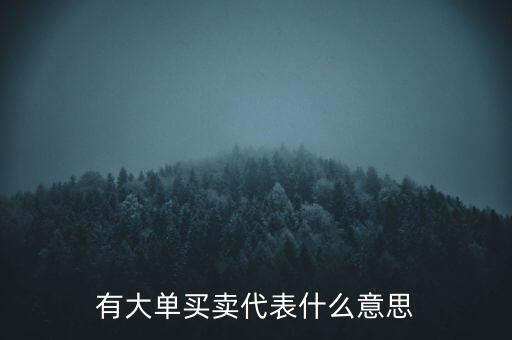 在買5成交有大單是什么意思，股票中大單是什么意思