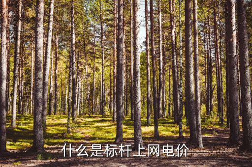 什么是標(biāo)桿電價(jià)，什么是標(biāo)桿上網(wǎng)電價(jià)