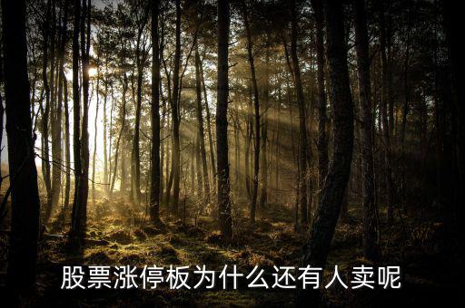 為什么已經(jīng)漲停的股票那么多人買，當(dāng)天漲停的股票為什么還有那么多人買入跟進呢