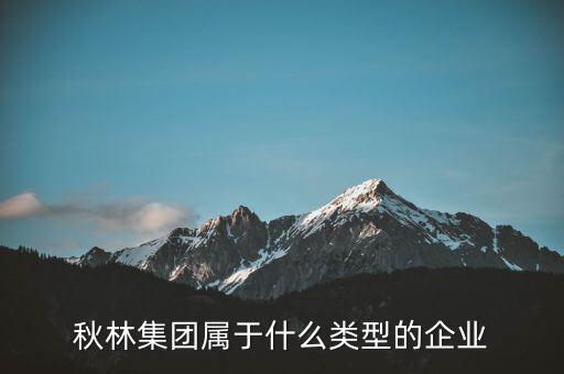 秋林集團是什么板塊，秋林集團屬于什么類型的企業(yè)