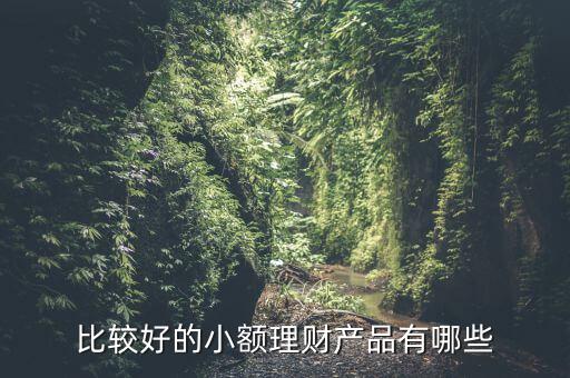 有什么小額理財產(chǎn)品，小額理財投資產(chǎn)品有哪些