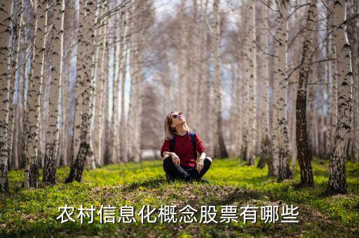 農(nóng)村富了什么股票，農(nóng)村信息化概念股票有哪些