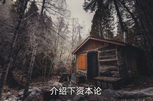 資本論是什么發(fā)表的，資本論 是馬克思寫的不