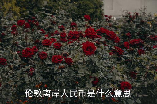 離岸人民幣是什么意思，在岸人民幣和離岸人民幣是什么意思