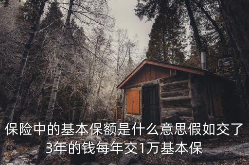 基本保額是什么意思，基本保險金額是什么意思