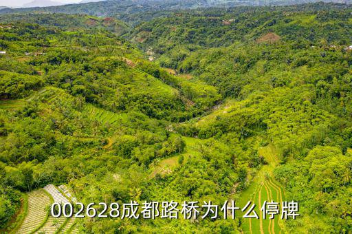 成都路橋今天什么情況，今天早成都等路橋的航班有沒有停航