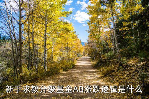 b級基金根據(jù)什么上升，基金是依靠什么數(shù)據(jù)上漲的