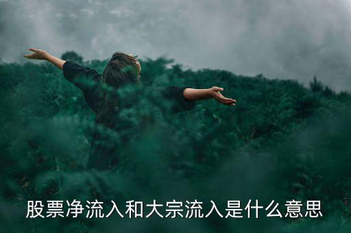 股票大宗流入是什么意思，股票凈流入額大宗流入什么意思