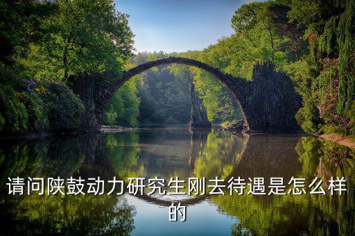 陜鼓動(dòng)力員工工資為什么高，西電集團(tuán)陜煤集團(tuán)陜鼓動(dòng)力集團(tuán)哪個(gè)待遇好另外還有西北電力集
