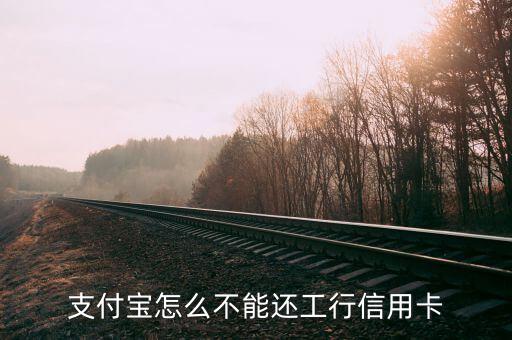 支付寶為什么不能還信用卡，支付寶怎么不能還工行信用卡