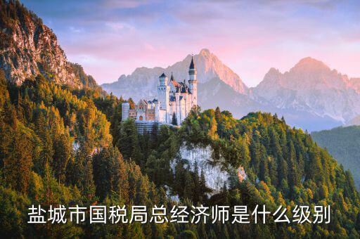 總經(jīng)濟師是什么級別，農(nóng)業(yè)部總經(jīng)濟師是什么級別