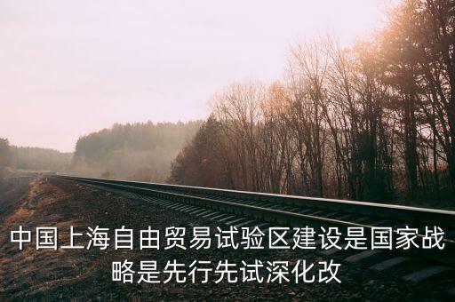 上海自貿(mào)區(qū)改革新60條是什么，建立上海自貿(mào)區(qū)屬于宏觀調(diào)控的哪個手段
