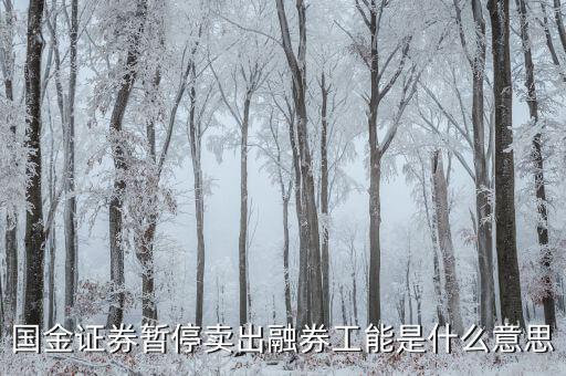 暫停融券是什么意思，國(guó)金證券暫停賣出融券工能是什么意思
