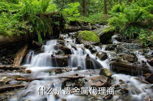貴金屬做渠道是什么意思，什么是貴金屬延期交易渠道