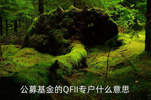 公募專戶是什么意思，什么是基金專戶