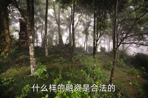 什么是合法的融資，什么是合法融資