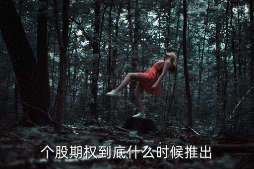 什么時(shí)候推出個(gè)股期權(quán)，股票期權(quán)什么時(shí)間開(kāi)始