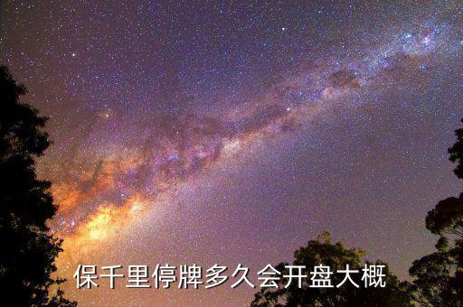 保千里什么時(shí)間上市，保千里什么時(shí)候復(fù)牌