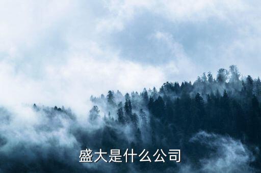 盛大集團是經營什么，盛大是什么公司