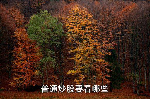 炒股每天都看什么，炒股究竟看什么怎么看