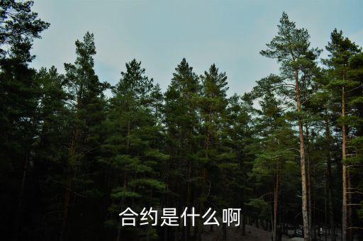 合約是什么意思，合約的意思是什么