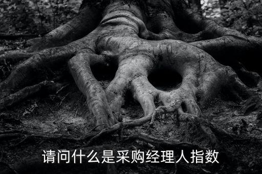 采購經(jīng)理人指數(shù)是什么，IVEY采購經(jīng)理人指數(shù)指的是什么