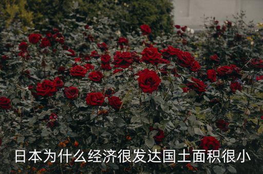 日本為什么土地小，日本為什么經(jīng)濟很發(fā)達國土面積很小