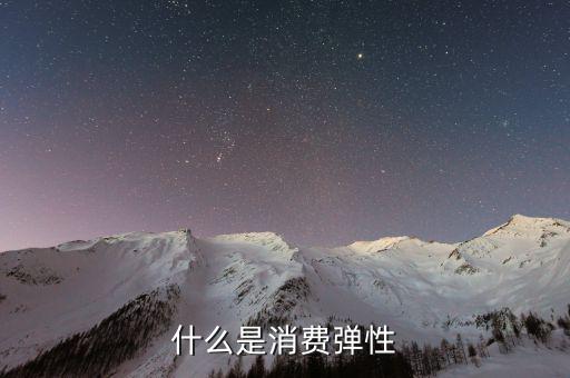 什么是消費彈性，什么是消費彈性