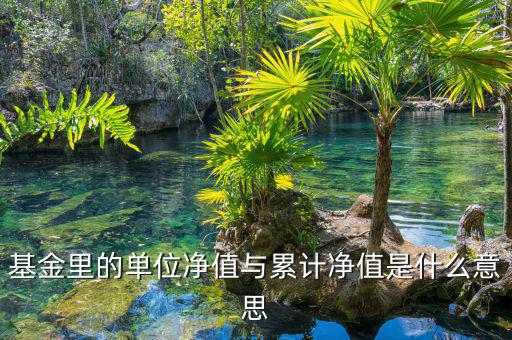 基金凈值和累計凈值是什么，基金里的單位凈值與累計凈值是什么意思