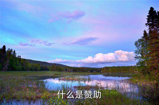 贊助核心是什么，什么是贊助
