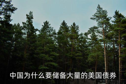 中國為什么要大量購買美國國債，為什么中國一定要購買美國國債